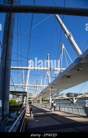 The Kurilpa Bridge is a 470 metres pedestrian and bicycle bridge over the Brisbane River opened in October 2009. It is the worlds largest hybrid tense Stock Photo