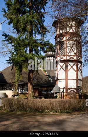 Bad Kreuznach, Germany - February 25, 2021:  Brown and white tower next to a tall green tree on a sunny winter day in Bad Kreuznach, Germany. Stock Photo
