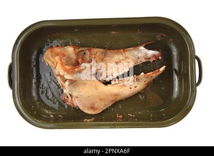 skull bone from roasted pig head isolated on the white background Stock Photo