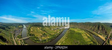 View of the Mosel loop near the village of Ediger-Eller in Rhineland-Palatinate during the day in summer Stock Photo