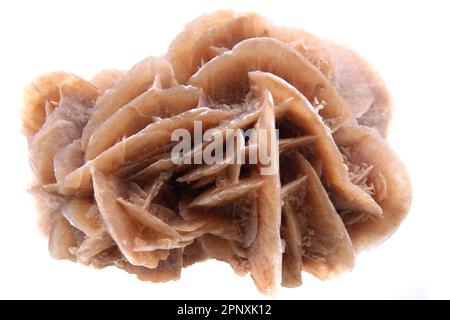 desert rose mineral isolated on the white background Stock Photo - Alamy