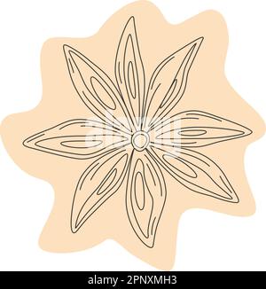 Contour drawing of star anise on abstract backdrop. Spicy spice for coffee or mulled wine. Sticker. Icon. Isolate. Design for wrapping, lettering, poster, banner, card or web, price tag or label. EPS Stock Vector