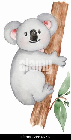 Koala clipart. Watercolor Baby koala clip art, Tropical animal  illustration, Jungle , Baby Shower, Kids Birthday Party Stock Photo - Alamy