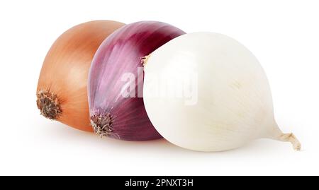 Isolated onions. White, red, yellow onion isolated on white background, with clipping path Stock Photo