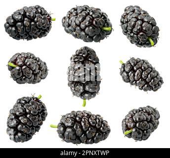 Collection of berries. Different shapes of nine raspberry fruits ...
