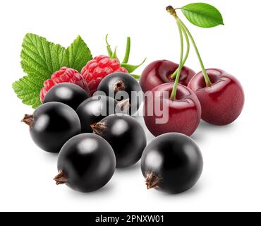 Isolated berries. Fresh black currants, cherry, raspberry fruits with leaves isolated on white background with clipping path Stock Photo