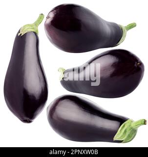 Isolated eggplants. Collection of whole eggplants isolated on white background, with clipping path Stock Photo