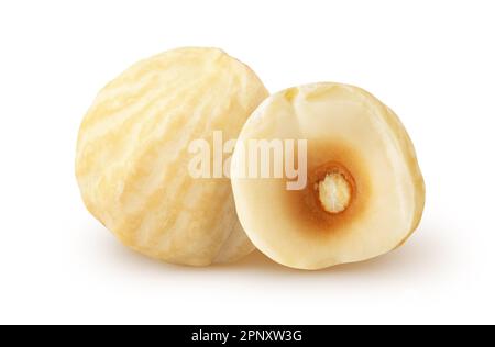 Isolated roasted halelnuts. Whole peeled hazelnut with half isolated on white background with clipping path Stock Photo