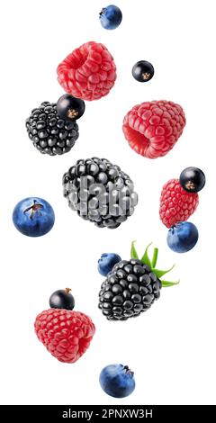 Isolated flying berries. Blackberry, blueberry, raspberry and currants isolated on white background with clipping path Stock Photo