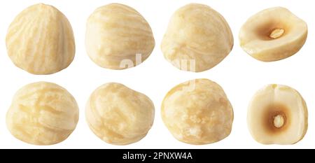 Isolated peeled roasted hazelnuts. Collection of whole peeled hazelnuts and half, different angles isolated on white background with clipping path Stock Photo