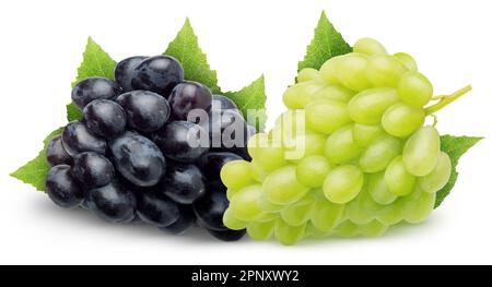 Isolated grape varieties. Pile of dark blue and white Thompson grapes with leaves isolated on white background with clipping path Stock Photo