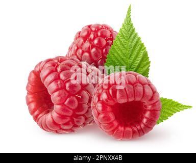 Isolated berries. Three raspberry fruits with leaves isolated on white background with clipping path Stock Photo