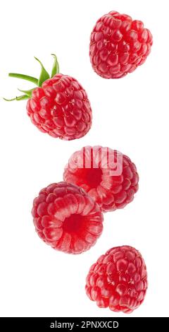 Isolated flying berries. Falling raspberry fruits isolated on white background with clipping path Stock Photo