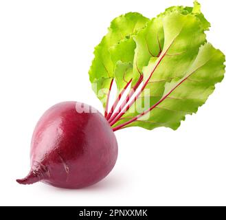 Isolated Beetroot. Whole single beetroot with leaves isolated on white background with clipping path Stock Photo