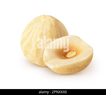 Isolated roasted halelnuts. Whole peeled hazelnut and a half isolated on white background with clipping path Stock Photo