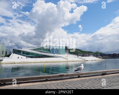 Oslo, Norway - May 2022: Seagull with the Oslo National Opera in the background on a sunny day against the backdrop of beautiful landscapes and blue s Stock Photo
