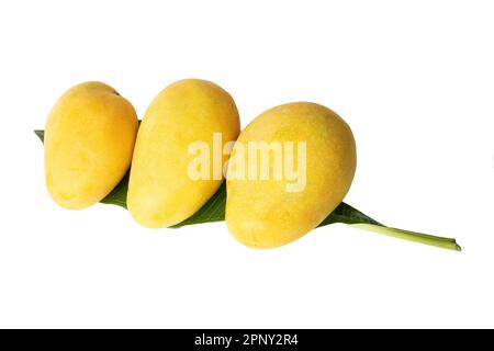 Fresh Yellow ripen Mango with leaf isolated Stock Photo