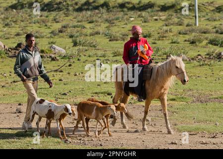 Muslim villagers riding horses on their way to market in Ethiopia Stock Photo