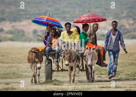 Ethiopian villagers carrying umbrellas sit on a donkey cart on the way to the market Stock Photo