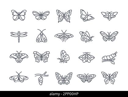 Butterflies icons set Stock Vector