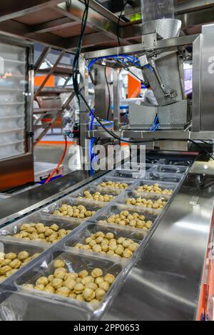 Many meatballs food production line on conveyor belt equipment machinery in factory, industrial food production Stock Photo