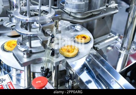 Automatic egg tart production line on conveyor belt equipment machinery in factory, industrial food production. Stock Photo