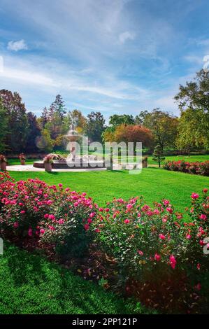 The Rose Garden at Lake Harriet in Minneapolis, Minnesota is the second oldest public rose garden in the United States. Stock Photo