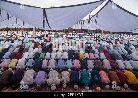 New Delhi, Delhi, India. 21st Apr, 2023. Muslim devotees offer Last Friday prayers of the holy fasting month of Ramadan, at Jama Masjid, in the old quarters of New Delhi, India on April 21, 2023. (Credit Image: © Kabir Jhangiani/ZUMA Press Wire) EDITORIAL USAGE ONLY! Not for Commercial USAGE! Credit: ZUMA Press, Inc./Alamy Live News Stock Photo