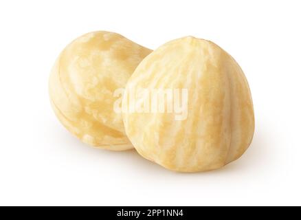 Isolated roasted halelnuts. Closeup of two peeled hazelnuts isolated on white background with clipping path Stock Photo