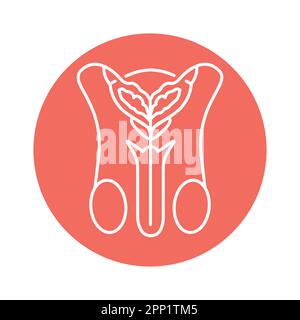 Male urinary system color line icon. Pictogram for web page, mobile app ...