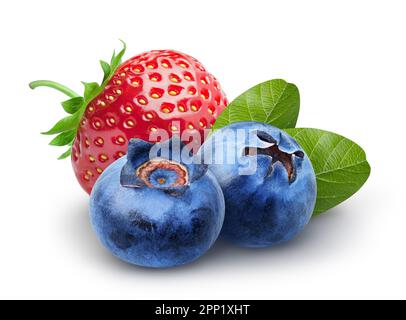Isolated berries. Two sweet blueberry and strawberry fruits with leaves isolated on white background, clipping path Stock Photo