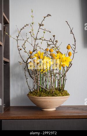 Spring yellow daffodil flowers in composition interior decoration Stock Photo