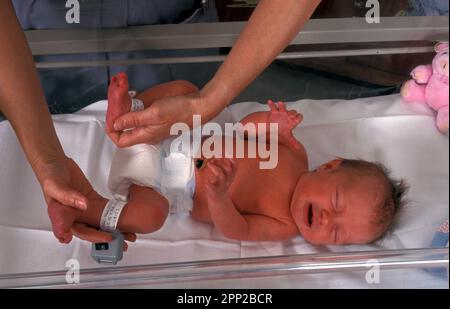 midwife performing newborn baby health checks, fitting name tag Stock Photo