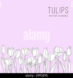Hand-drawn vector graphic tulips, silhouettes of summer flowers, postcard with a linear bouquet of spring tulips, grasses, herbs and leaves, floral Stock Vector