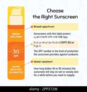 How to choose sunscreen infographic. Broad-spectrum, water resistant SPF protection and sun safety concept. Anti UV protection products. Hand drawn ve Stock Vector