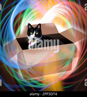Schrodinger's cat, composite illustration Stock Photo
