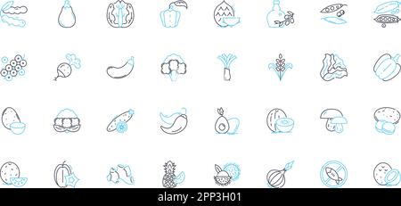 Convenience store linear icons set. Snacks, Drinks, Groceries, Quick, Easy, Accessibility, Impulse line vector and concept signs. Satisfying,Treats Stock Vector