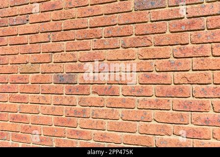 A red brick wall with many of the bricks having black spots on them Stock Photo