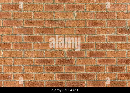 A red brick wall in the sunshine Stock Photo