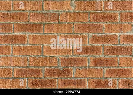 A red brick wall in the sunshine Stock Photo