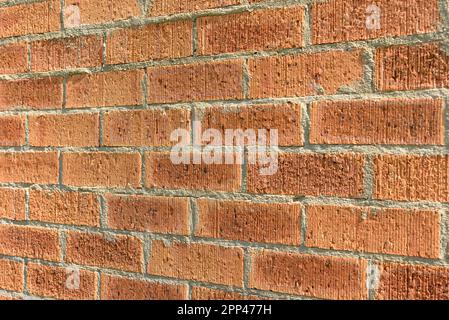 A red brick wall in the sunshine Stock Photo