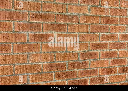 A red brick wall in the sunshine Stock Photo