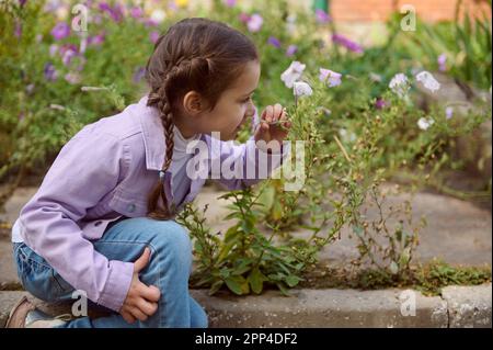Caucasian lovely little child girl with two funny pigtails, sits on paving stones and smells wild flowers growing in countryside meadow. Spring. Happy Stock Photo
