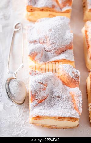 Homemade Karpatka cake with custard cream and powdered sugar. Carpathian pie from Poland. Stock Photo