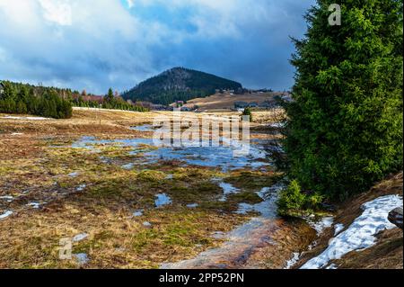 Mountain meadow with melted snow in beginning of spring, tree and cottage in village Jizerka, hill Bukovec in background. Protected area, Czech republ Stock Photo