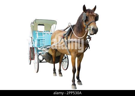 Die cut of carriages pulled by a horses on white isolated. Stock Photo