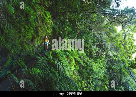 Description: Backpacker woman walking along steep, overgrown jungle hiking trail  next to canal through Madeiran rainforest. Levada of Caldeirão Verde Stock Photo