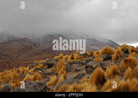 A cold and cloudy day at Laguna Cañapa, Potosí district, Bolivia Stock Photo