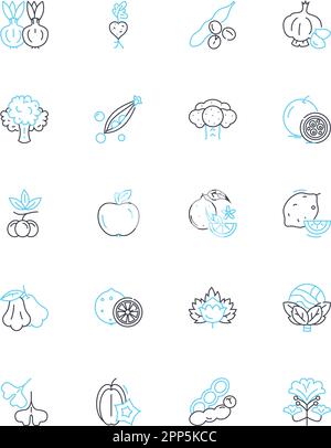 Provision store linear icons set. Convenience, Necessities, Groceries, Provisions, Snacks, Beverages, Household line vector and concept signs. Hygiene Stock Vector