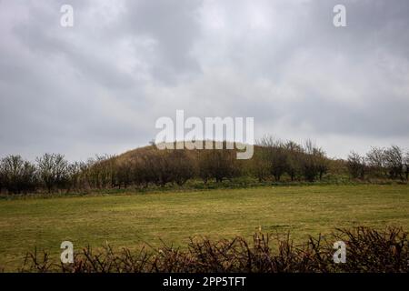 Duggleby Howe Neolithic round barrow near the village of Duggleby, North Yorkshire, UK Stock Photo